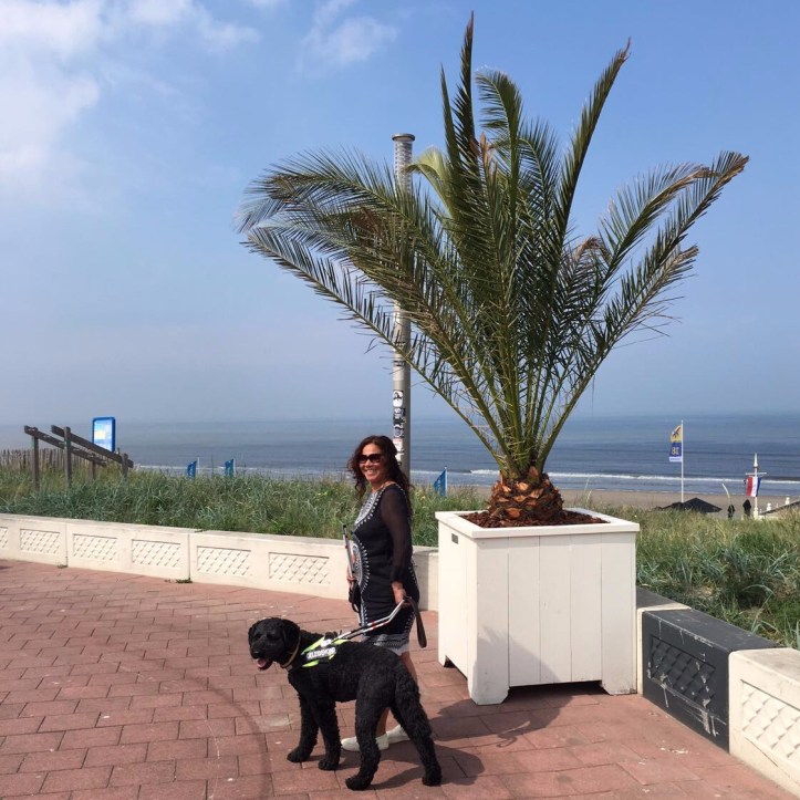 Carin en Hutch bij een palmboom aan de boulevard in Zandvoort