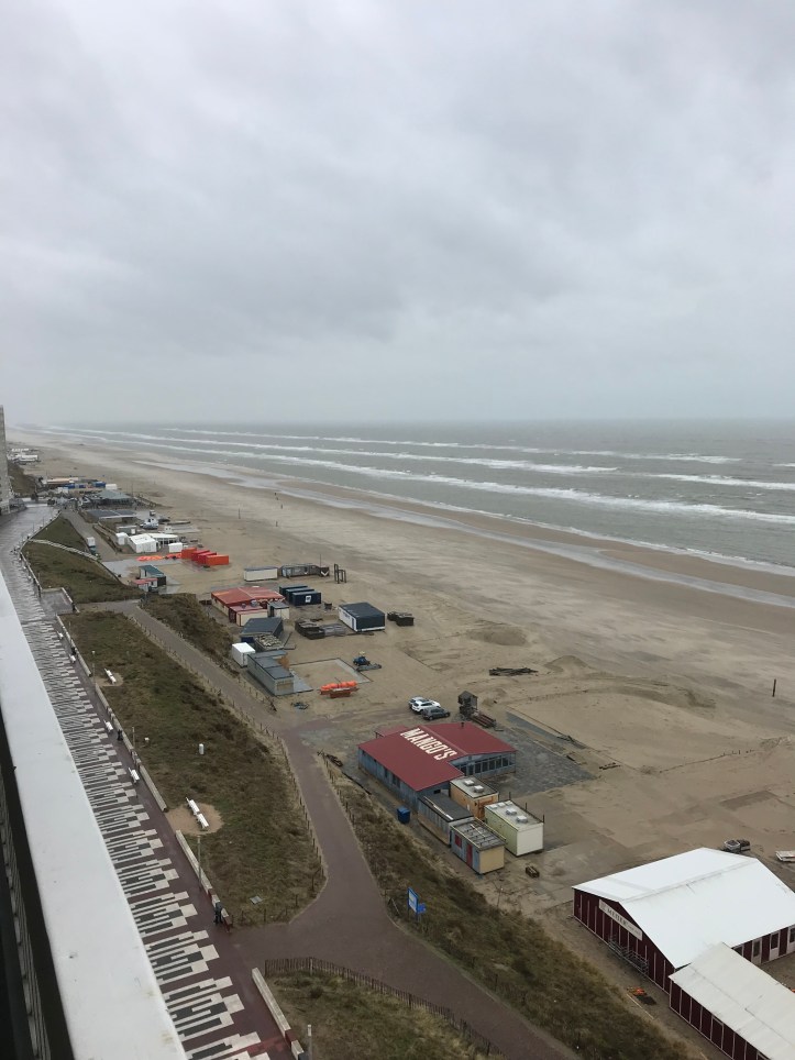 20190208_115908253_iOS