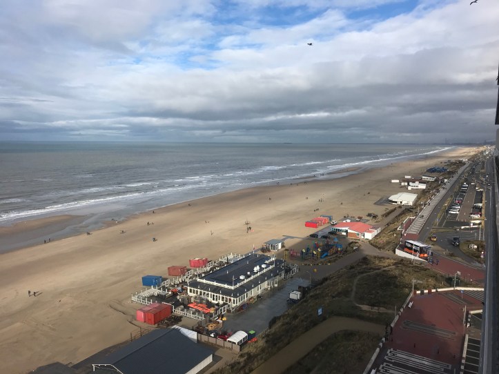 20190210_114056715_iOS