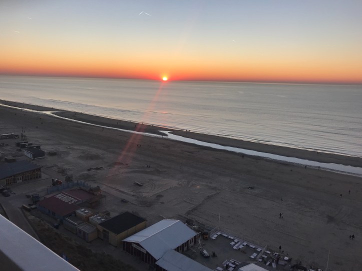 20190215_165255650_iOS