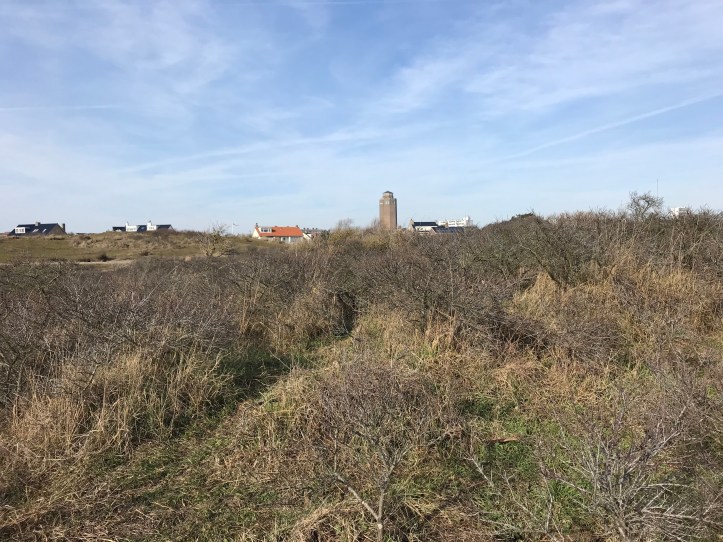 20190217_121734784_iOS