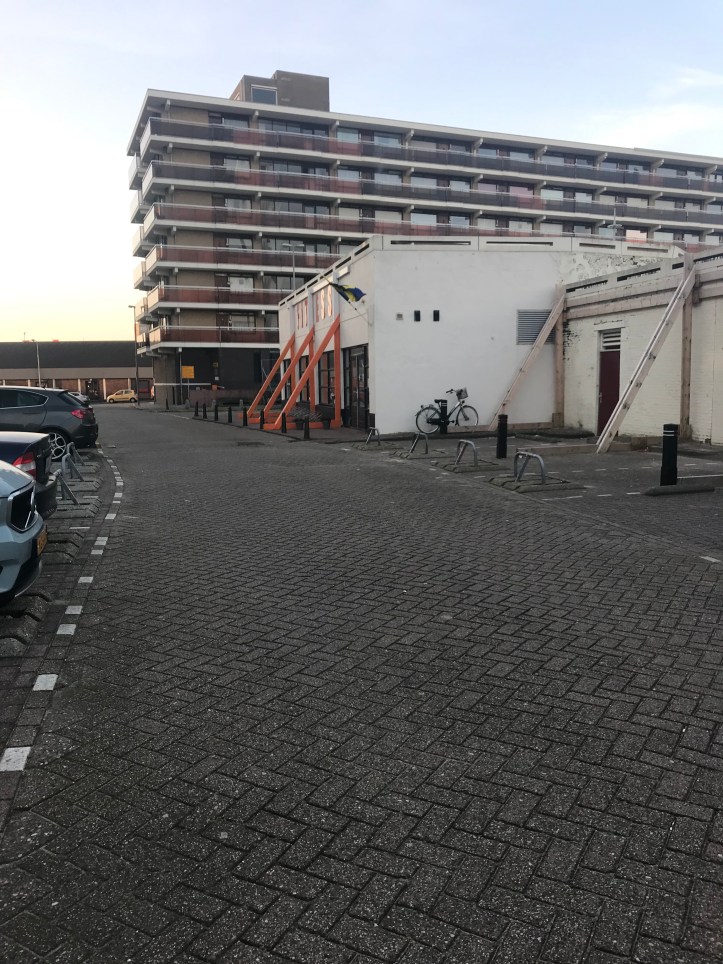 20190218_073704952_iOS