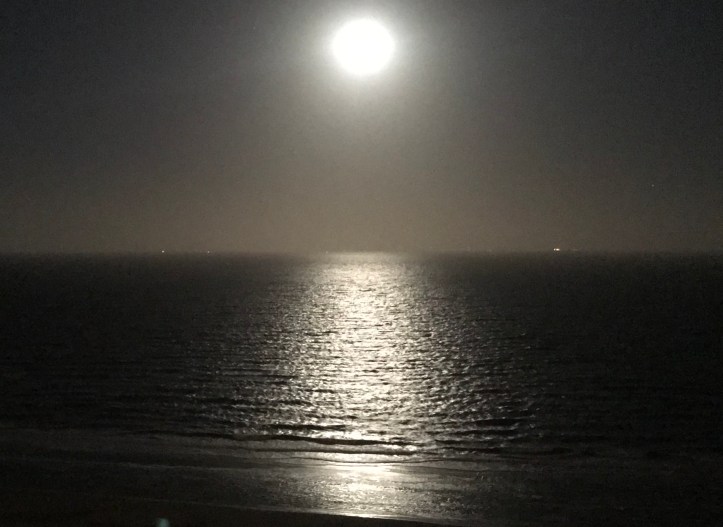 20190219_053313195_iOS