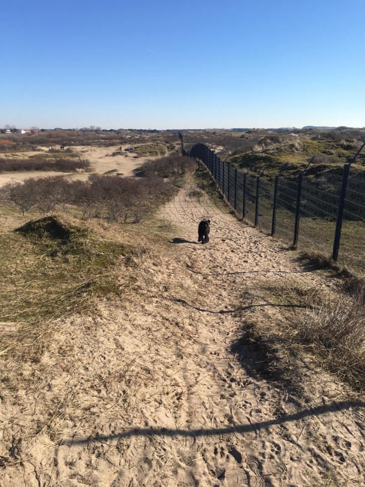 243e1e2d-93f3-46cf-ab68-38d64c3afd63