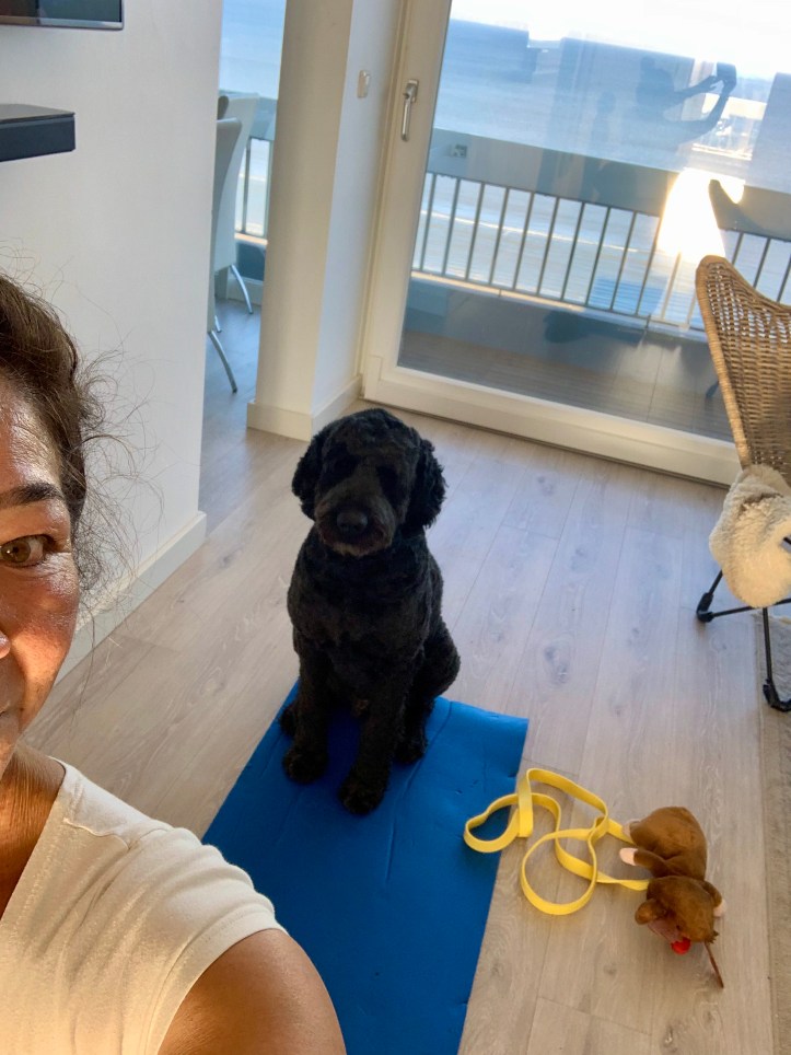 21AF4D8B-9EA2-42C9-876E-D3160DFC355D_1_201_a