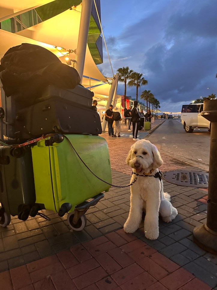 Percy met de kar vol koffers voor de aankomsthal op Aruba, wachten op de taxi bus