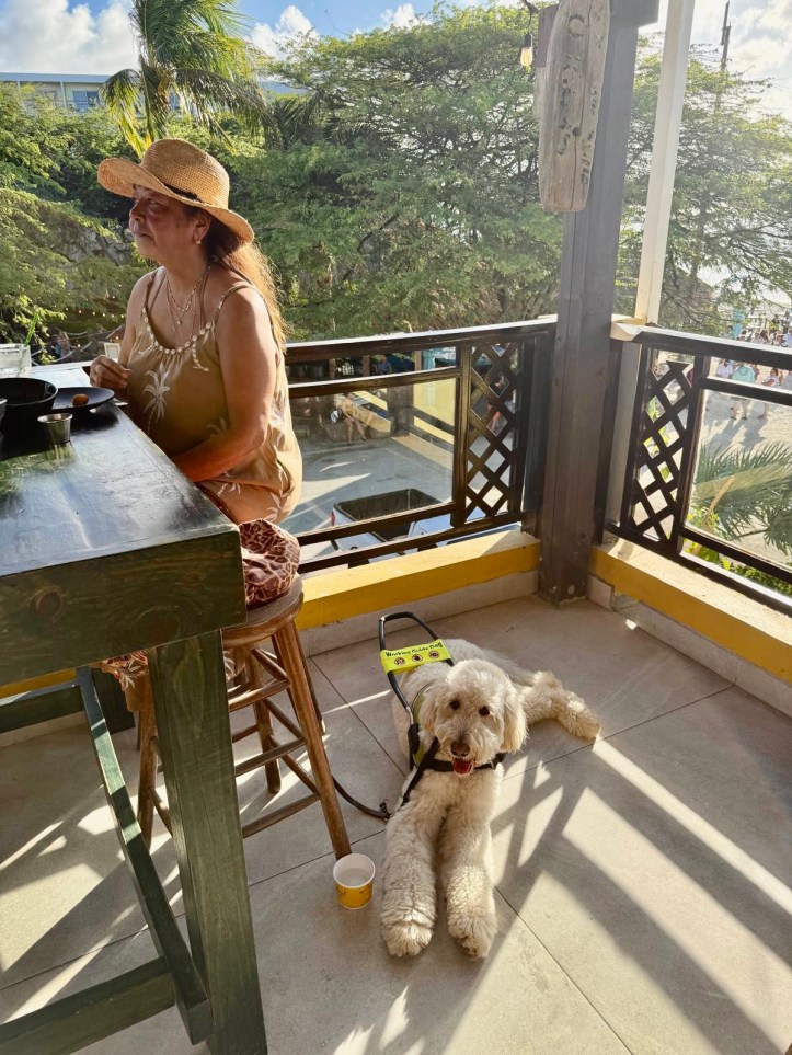 Percy ligt rustig in een beachclub terwijl Carin op een barkruk. zit